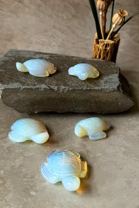 Carved Seaturtles