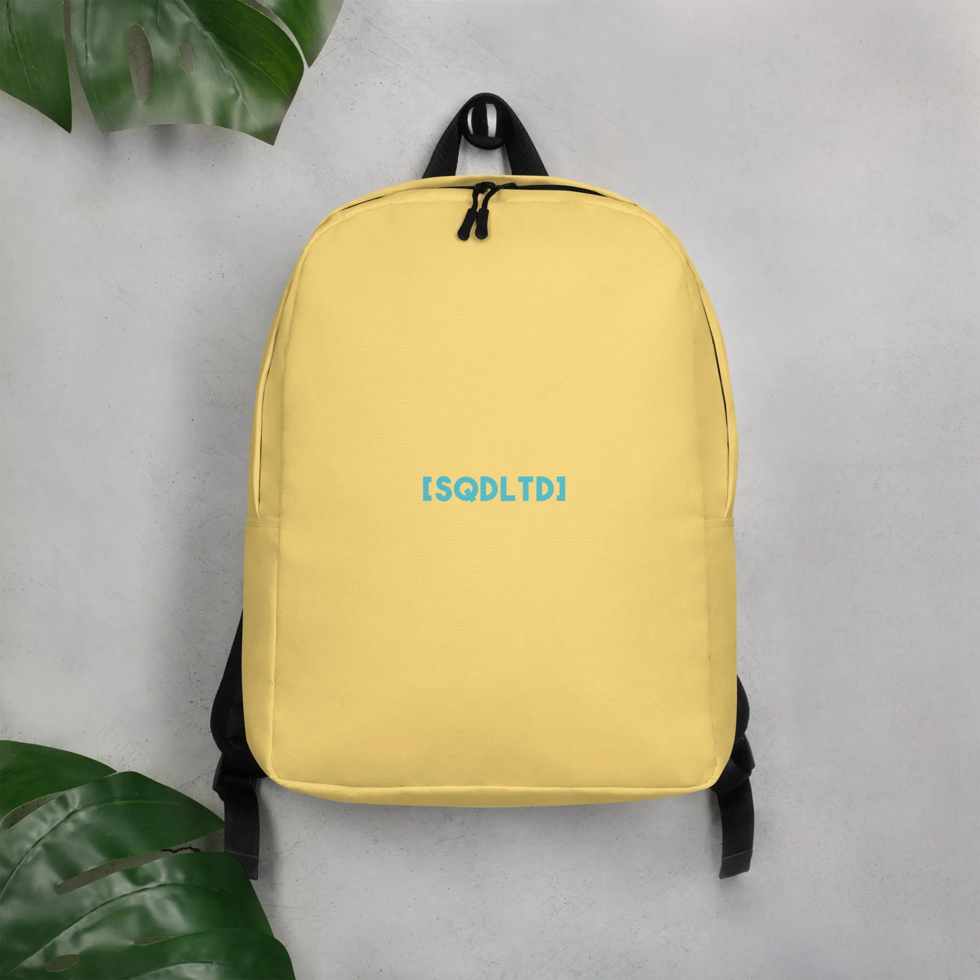 Sqdltd SP24 Minimalist Backpack Popsicle